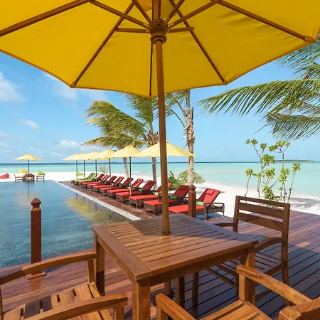 Dhigufaru Island Resort-3