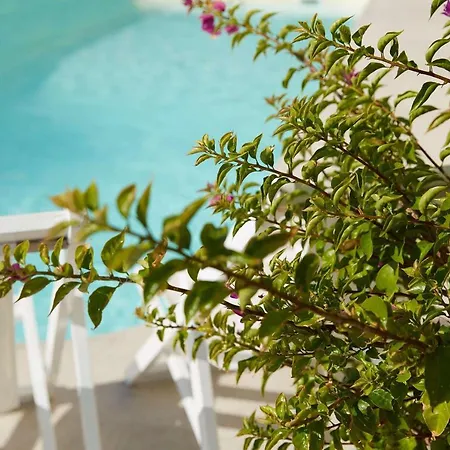 Mon Repos Palace - Adults Only-3