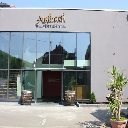 WeinBergHotel Nalbach-2