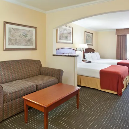 Holiday Inn Express Hotel & Suites Tucson Mall By Ihg-2