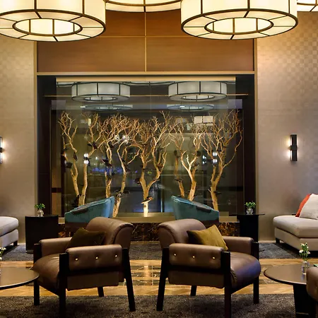 The Muse New York-2