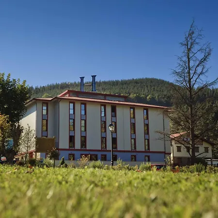 Hotel Balneario Areatza Nº 01224-3