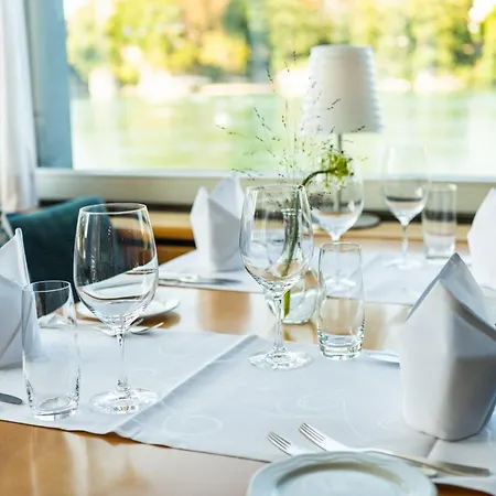 Hotel Schiff am Rhein-2