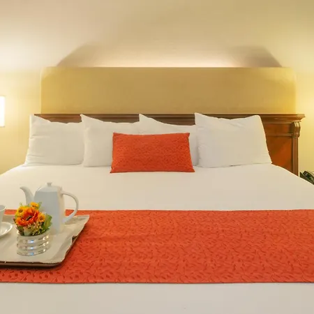Stanza Hotel-2