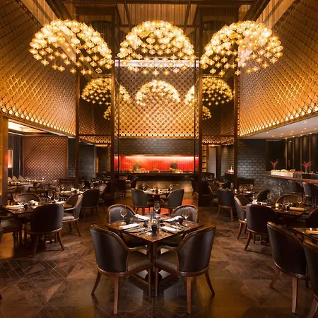 Conrad Pune-2
