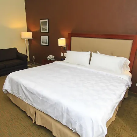 Holiday Inn Leon By Ihg-3