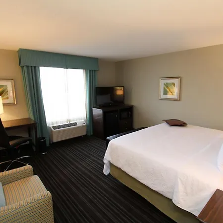 Hampton Inn & Suites By Hilton St. John'S Airport-2