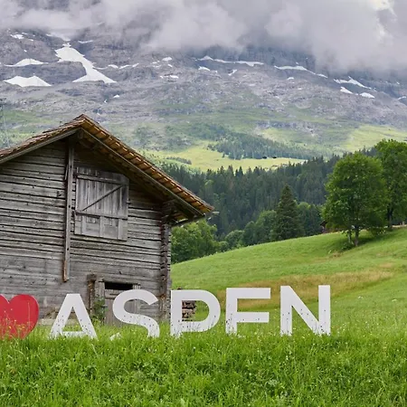 Aspen Alpine Lifestyle Hotel-2