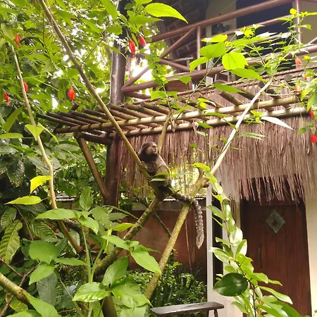 Pousada Fruta Pao-2