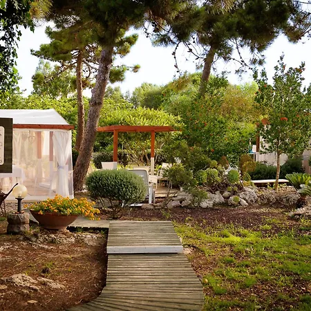 Sa Pedrera Country Hotel-3