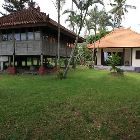 Gajah Mina Beach Resort-3
