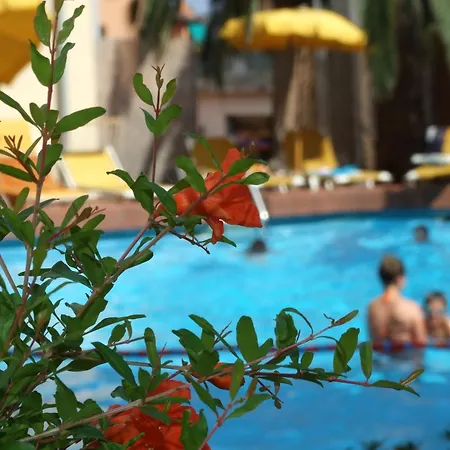 Hotel Coccodrillo-3