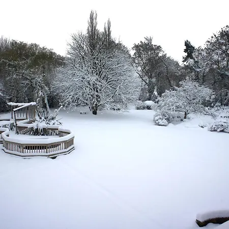 Claverton Country House Hotel-3