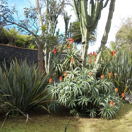 Hotel La Palma Romántica-2