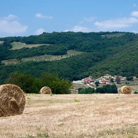Fonte Alla Lepre-3