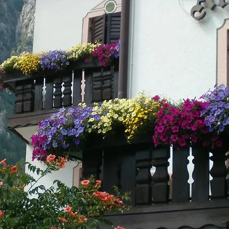 Hotel Stella Alpina-2