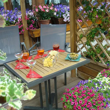 Hotel Villa Alpina ***S-3