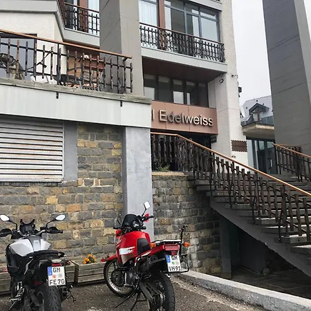 Hotel Edelweiss Candanchú-3