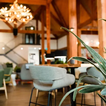 Buffalo Mountain Lodge-2