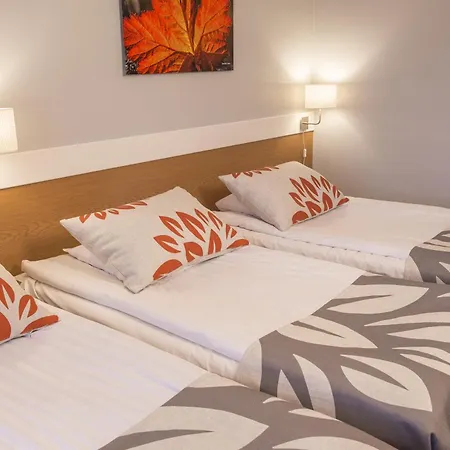 Park Hotel Tornio-3