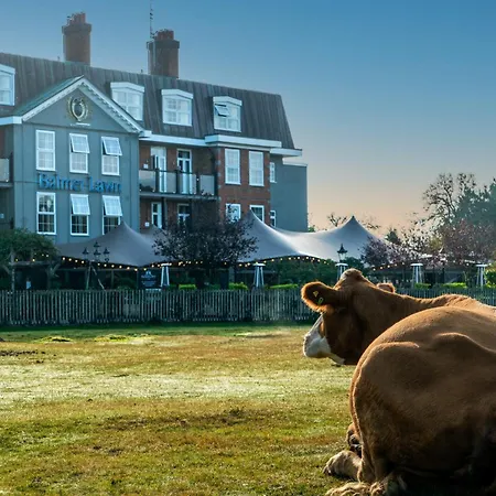 Balmer Lawn-3