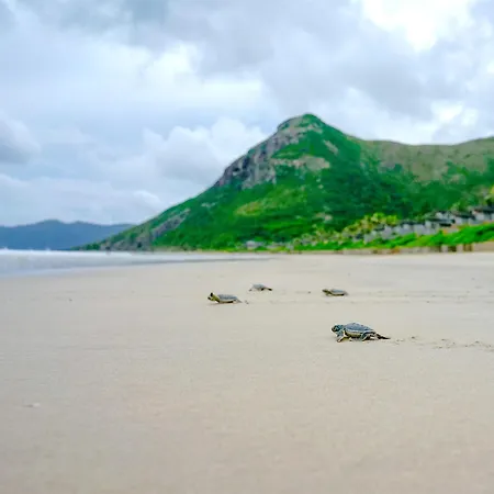 Six Senses Con Dao - Turtle Island Paradise-3