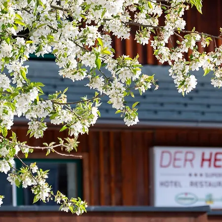 Der Hechl-2