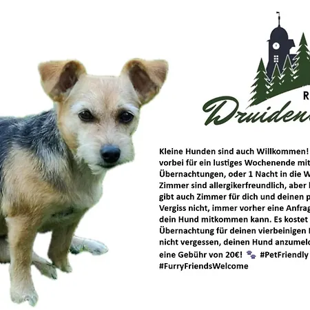 Hotel-Restaurant Druidenstein-2