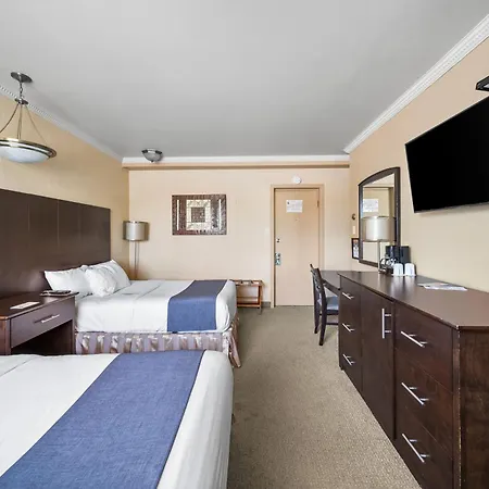 Hotel-Motel Coconut-3