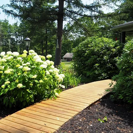 Woodfield Manor - A Sundance Vacations Property-3