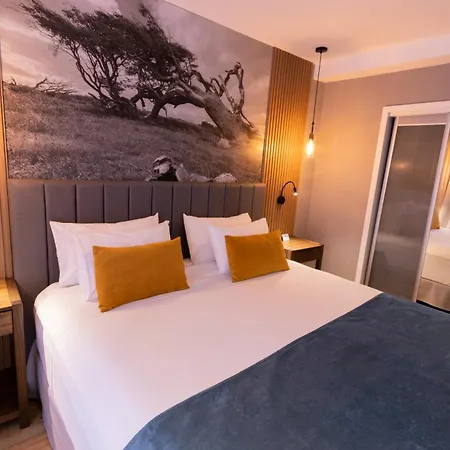 Alto Andino Hotel-2