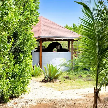 Red Palm Village-3