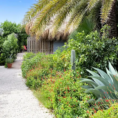 Red Palm Village-2
