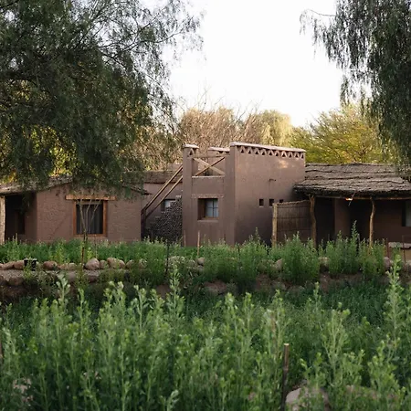 Our Habitas Atacama-3