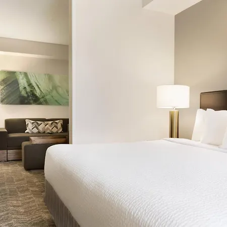 Springhill Suites By Marriott West Palm Beach I-95-3