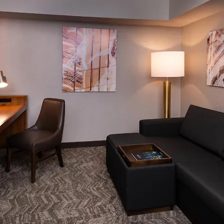 Springhill Suites By Marriott Pittsburgh North Shore-2