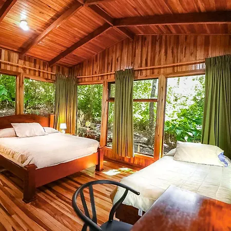 Hotel Flor De Bromelia-3