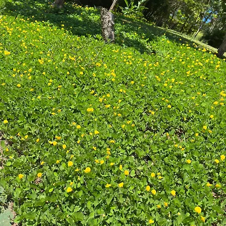 Pousada Camponesa-2