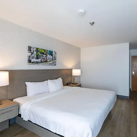 Repotel Henri IV Quebec-2