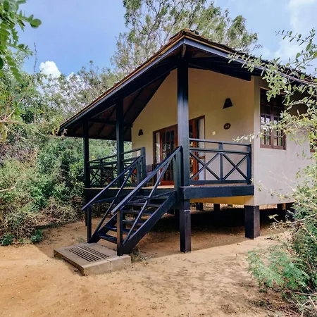 Cinnamon Wild Yala-3