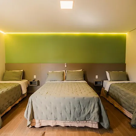 Hotel Oly Plaza-2