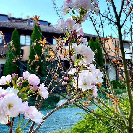 Caramell Premium Resort-3