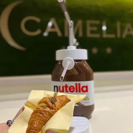 Hotel Camelia-3