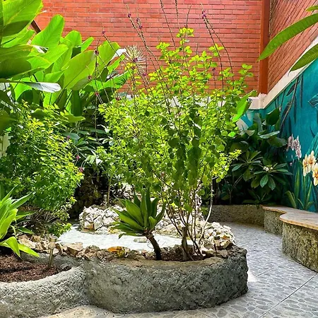 Hotel Casa Laureles-3