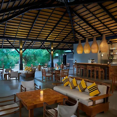 Cinnamon Wild Yala-2
