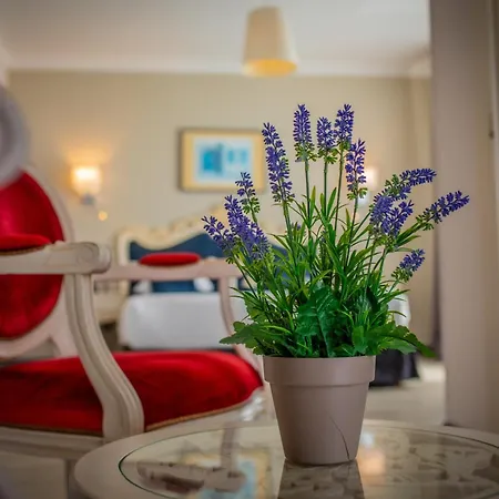 Alexain Hotel Restaurant&Wellness - Colmar Ouest-2