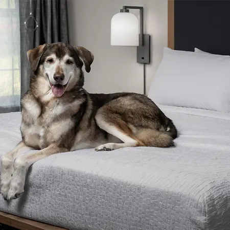 Homewood Suites By Hilton Vancouver-Portland-3