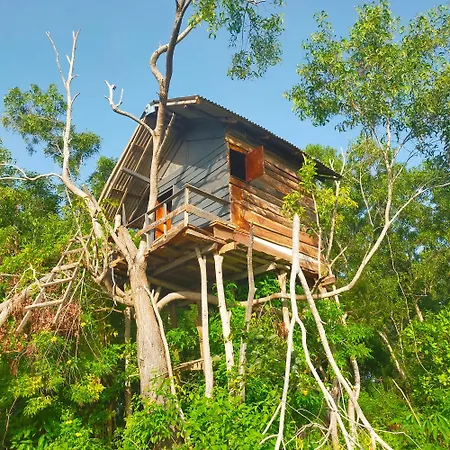 Rumah Pohon-3