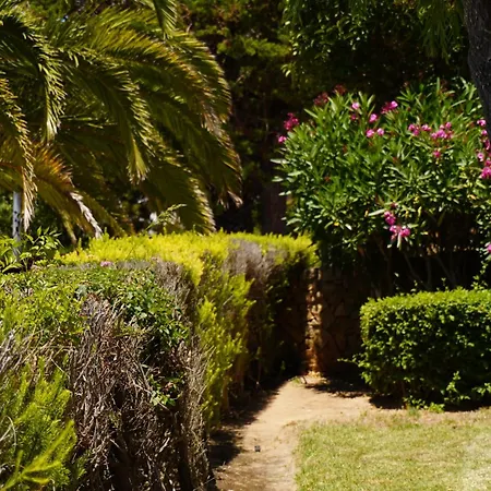 Clube Porto Mos - Sunplace Hotels & Beach Resort-3