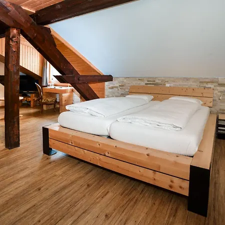 Hotel Furka-3